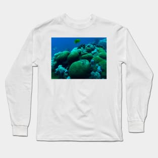 Red Sea Coral Reef Long Sleeve T-Shirt